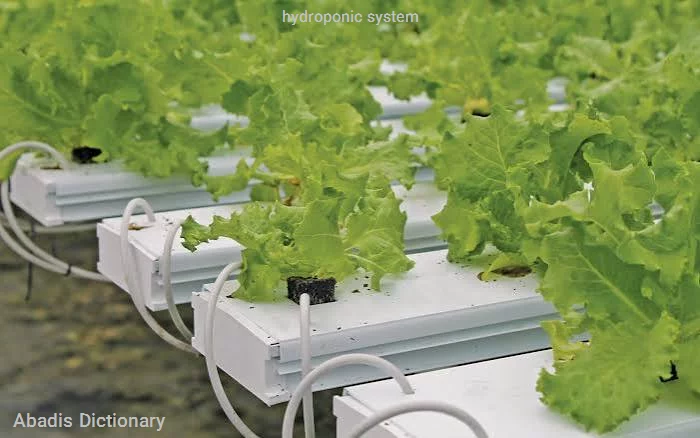 hydroponic system